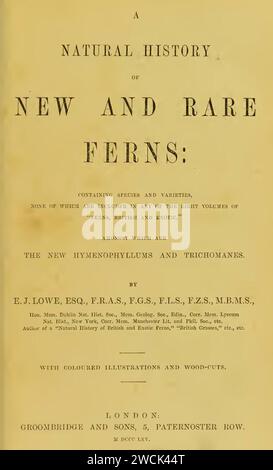 A natural history of new and rare ferns. 1862, reprint 1865 - Edward Joseph Lowe (title page). Stock Photo
