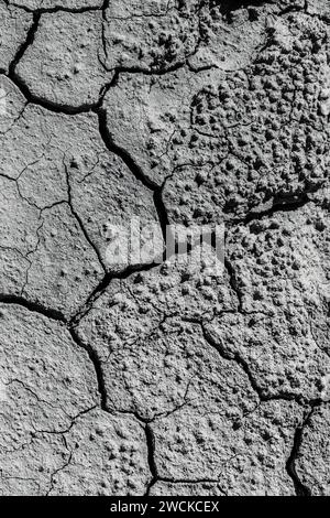 Cracked desert mud patch on the ground Stock Photo