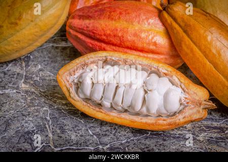 Cocoa pods still life close up whole organic marble top raw fruit Stock Photo