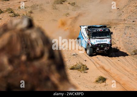 615 HUZINK Gert (nld), ROESINIK Martin (nld), BURRSEN Rob (nld), Jongbloed Dakar Team, Renault C460 Hybrid, FIA Truck, action during the Stage 9 of the Dakar 2024 on January 16, 2024 between Hail and Al Ula, Saudi Arabia - Photo Antonin Vincent/DPPI Credit: DPPI Media/Alamy Live News Stock Photo