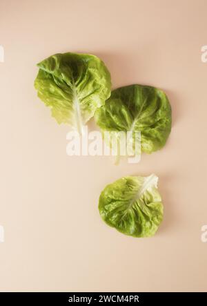 Top view of lettuce leaves on table Stock Photo