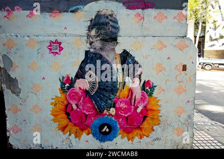 Santiago, Chile, One of the many street artworks in Santiago. Stock Photo