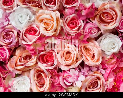 Symphony in Red, Pink, and White Roses. Colorful background of flowers. Design and fashion concept photo. Stock Photo