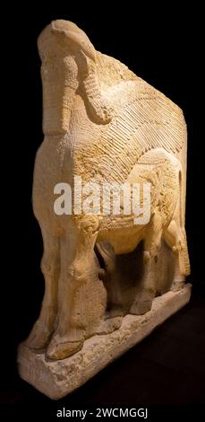 Assyrian lamassu (human-headed winged bull), palace of Dur-Sharrukin,  Khorsabad, Iraq, now in the Iraq Museum, Baghdad, Iraq Stock Photo