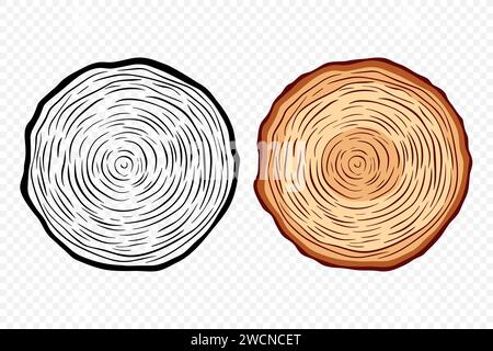 Tree Rings, Oak and Pine Slices, Lumber, and Timber Cross Section with Saw Cut Detail. Tree Trunk, Wood Log, Pine, Oak Slices, Lumber, Cut Timber Stock Vector
