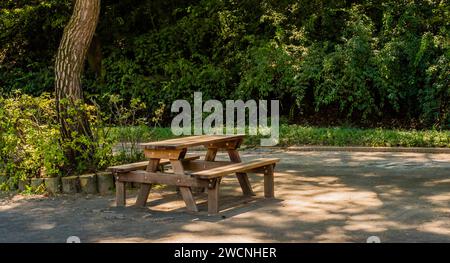 Wooden picnic table on concrete block sidewalk in park under shade tree Stock Photo