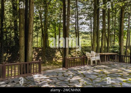 Plastic lawn chairs beside wooden table on large stone and wood patio under shade trees Stock Photo