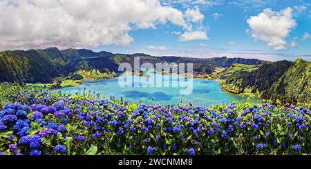 Bright sunshine over blue hortensias (Hydrangea) in front of the crater lake Lagoa Azul with crystal clear water, Lagoa Verde, Lagoa Azul, Lagoa de Stock Photo