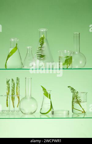 Laboratory glassware containing several types of seaweed. Transparent podium for product presentation. Edible seaweed is a staple in many Asian diets Stock Photo