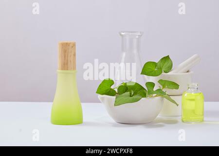 Gradient green bottle without label displayed with bowls of fish mint leaves and laboratory glassware. Natural beauty product extracted from Fish mint Stock Photo