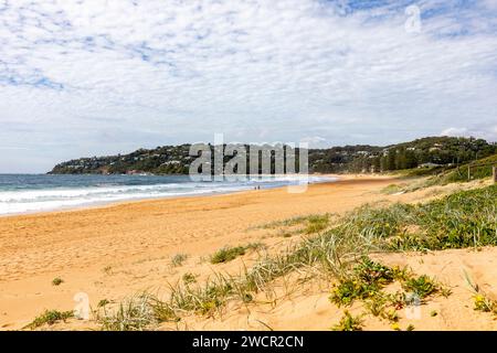 Palm Beach Sydney Australia, looking south from North Palm Beach across shallow dunes and vegetation,NSW,2024 Stock Photo