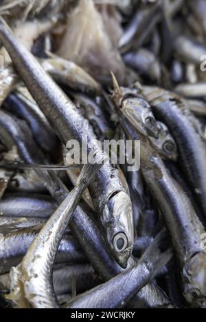 Detail of fish sale in a street market in Europe, healthy food Stock Photo