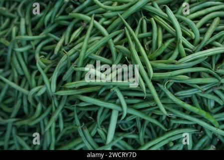 A heap of fresh, vibrant green beans arranged neatly on a countertop Stock Photo