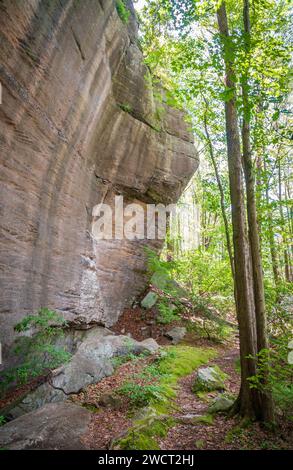 Massive Boulders at Rimrock in the Allegheny National Forest Stock Photo