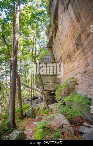 Massive Boulders at Rimrock in the Allegheny National Forest Stock Photo