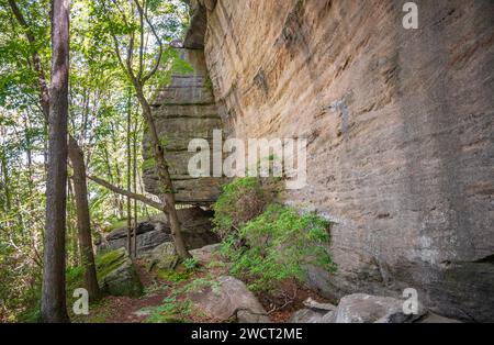 Massive Boulders at Rimrock in the Allegheny National Forest Stock Photo