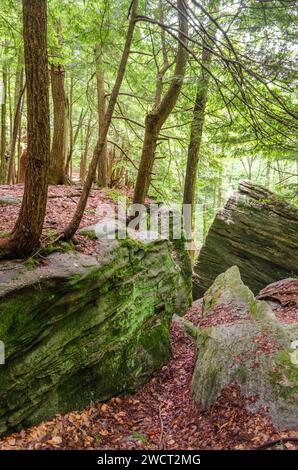 Massive Boulders at Rimrock in the Allegheny National Forest Stock Photo