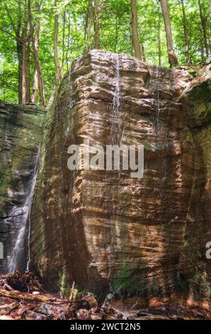 Massive Boulders at Rimrock in the Allegheny National Forest Stock Photo