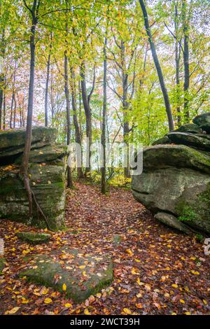 Massive Boulders at Rimrock in the Allegheny National Forest Stock Photo