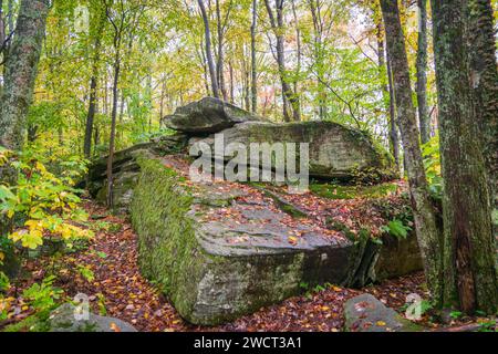 Massive Boulders at Rimrock in the Allegheny National Forest Stock Photo