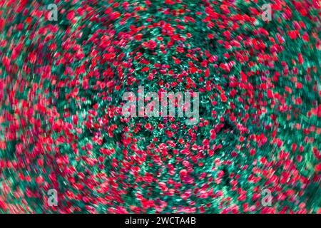 Whirling abstract pattern of red flowers with a blurred motion effect against a green background Stock Photo