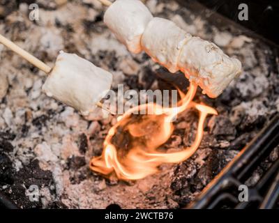 Top view of roasting marshmallow on fire in charcoal grill machine with skewer stick during picnic Stock Photo