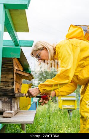 Side view of focused mature beekeeper in yellow protective overall and eyeglasses working on beehive frame in apiary Stock Photo