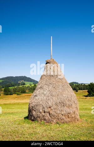 Traditioneller Heuhaufen 'Triste' im Moorgebiet Schwantenau, Kanton Schyz, Schweiz Stock Photo