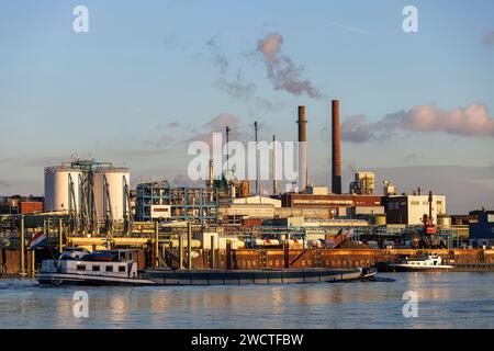 view over the Rhine to the Chempark, former known as the Bayerwerk, Leverkusen, North Rhine-Westphalia, Germany.  Blick ueber den Rhein zum Chempark, Stock Photo