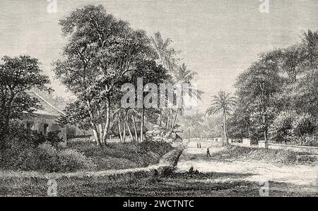 Old avenue in the ancient city of Batavia. Jakarta, Java island. Indonesia, Southeast. Six weeks in Java  1879 by Desire Charnay (1828 - 1915) Old 19th century engraving from Le Tour du Monde 1880 Stock Photo