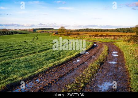 A sunny section of the Tarka Trail near Eggesford Fourways, with the hilltop town of Chulmleigh in the distance, Devon, England, UK. Stock Photo