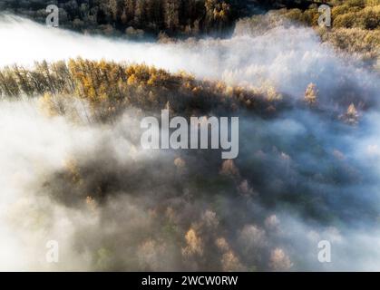 Drone view of sun rising over fog forest - sunbeam Stock Photo