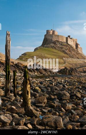 Lindisfarne Castle near the tip of Lindisfarne in March with wooden posts leading along the beach on a May day. Stock Photo