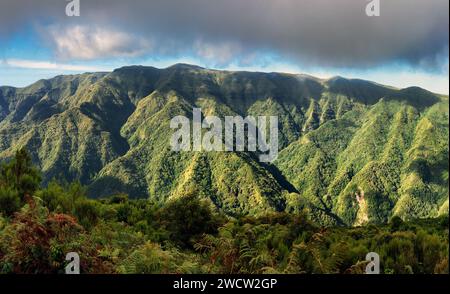 Jungle mountain landscape on green mountain landscape in Madeira, Portugal Stock Photo