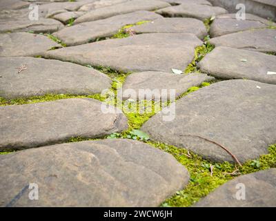 Fragment of a cobblestone path Stock Photo