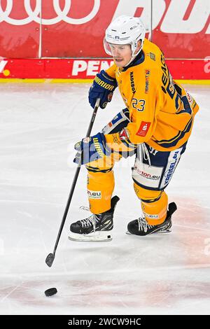 Lane Scheidl (Lausitzer F?chse, #23) Photo: Nordphoto / Hafner Stock ...