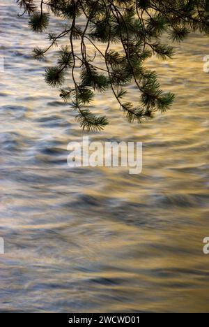 Truckee River along Truckee River Bike Trail, Lake Tahoe Basin National Forest, California Stock Photo