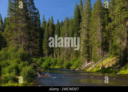 Truckee River along Truckee River Bike Trail, Lake Tahoe Basin National Forest, California Stock Photo