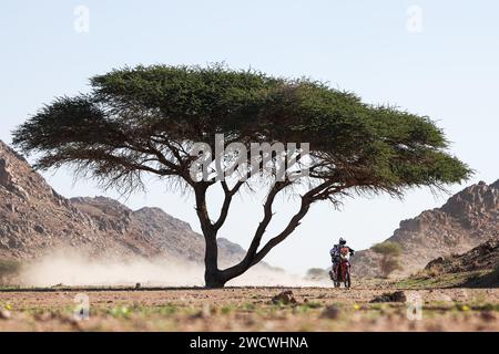 Al Ula, Saudi Arabia - January 17, 2024,  on January 17, 2024 around Al Ula, Saudi Arabia. , . Photo Antonin Vincent/DPPI Credit: DPPI Media/Alamy Live News Stock Photo