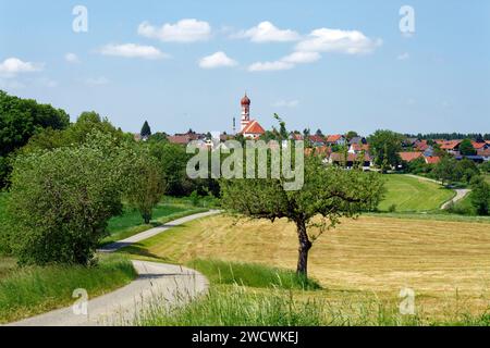 Germany, Bade Wurttemberg, Upper Swabia, Upper Swabian Baroque Road, Steinhausen an der Rottum, Assumption pilgrimage church Stock Photo