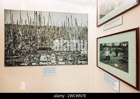 Vietnam, Ho Chi Minh City (Saigon), District 3, the War Remnants Museum, images of the effects of Agent Orange Stock Photo