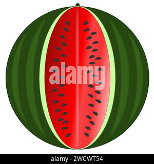 The ripe watermelon with peel and black seeds, cut in the middle Stock Vector