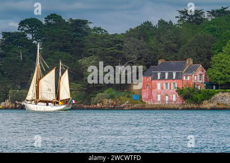 France, Morbihan, Gulf of Morbihan, Sene, Le Martroger, buoy ketch from the island of Noirmoutier, in front of the pink house of Port-Anna, Gulf Week Stock Photo