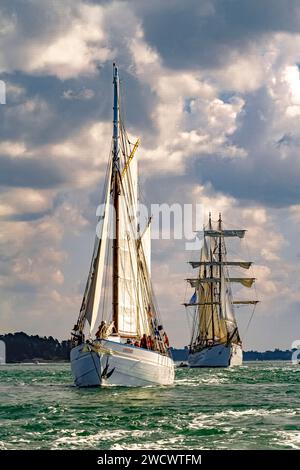 France, Morbihan, Gulf of Morbihan, Le Martroger, buoy ketch of the island of Noirmoutier and Le Marite, three-masted schooner, Gulf Week 2023 edition Stock Photo