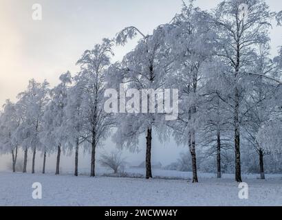 Foggy winter landscape near Schlehdorf am Kochelsee, Bavaria, Germany Stock Photo