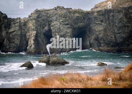 Two cave entrances on the rock formation known as Elephant Rock, in Bandon, Oregon, give the appearance of the trunk of an elephant. Stock Photo