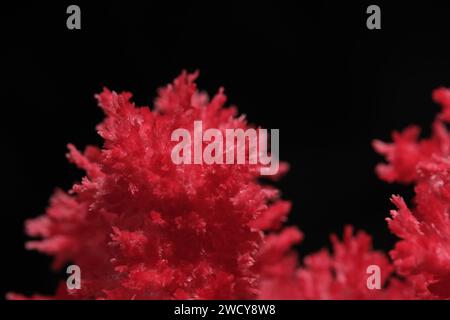Macro image red salt crystal on black background Stock Photo