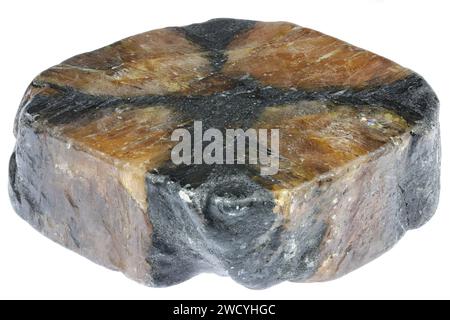 chiastolite from Chile isolated on white background Stock Photo