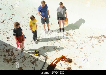 Night Swim Amelie Hoeferle Stock Photo - Alamy