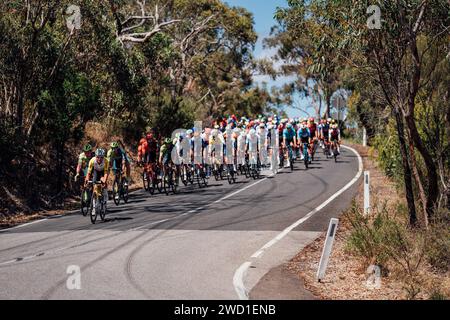 Adelaide, Australia. 18th Jan, 2024. Picture by Zac Williams/SWpix.com - 18/01/2024 - Cycling - 2024 Tour Down Under - Stage 3: Tea Tree Gully to Cambelltown (145.3km) - Luke Plapp, Jayco Alula. Credit: SWpix/Alamy Live News Stock Photo